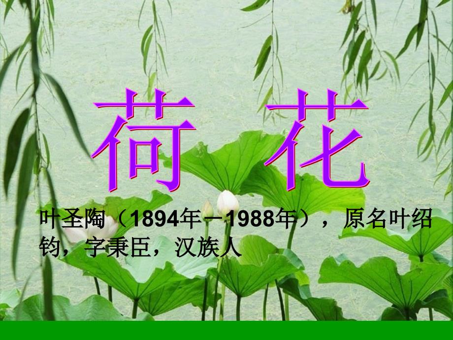 荷花PPT人教版三年级语文下册课件_第2页