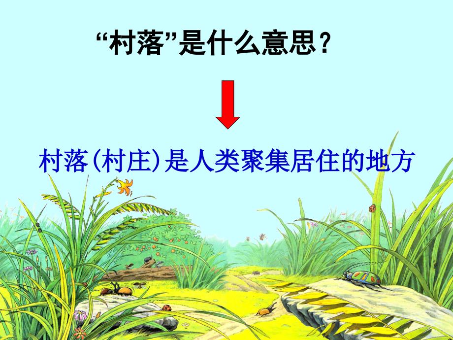 六年级语文上册第一组3草虫的村落课件_第2页