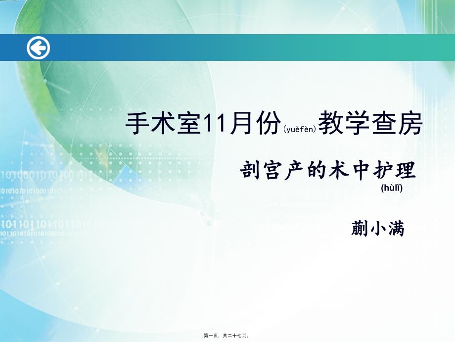 医学专题—手术室11月查房24390_第1页