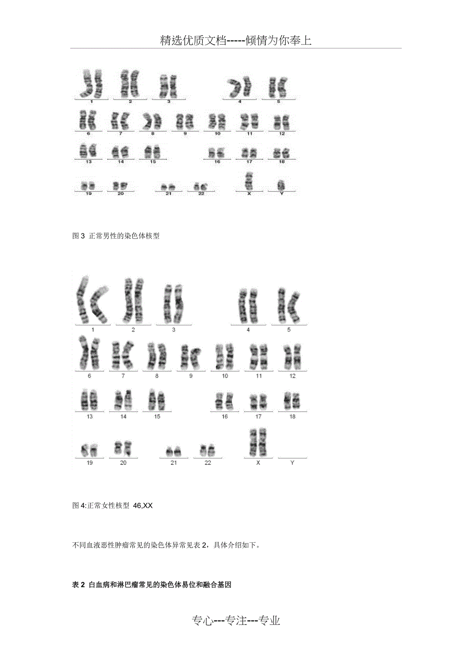 染色体核型分析_第2页