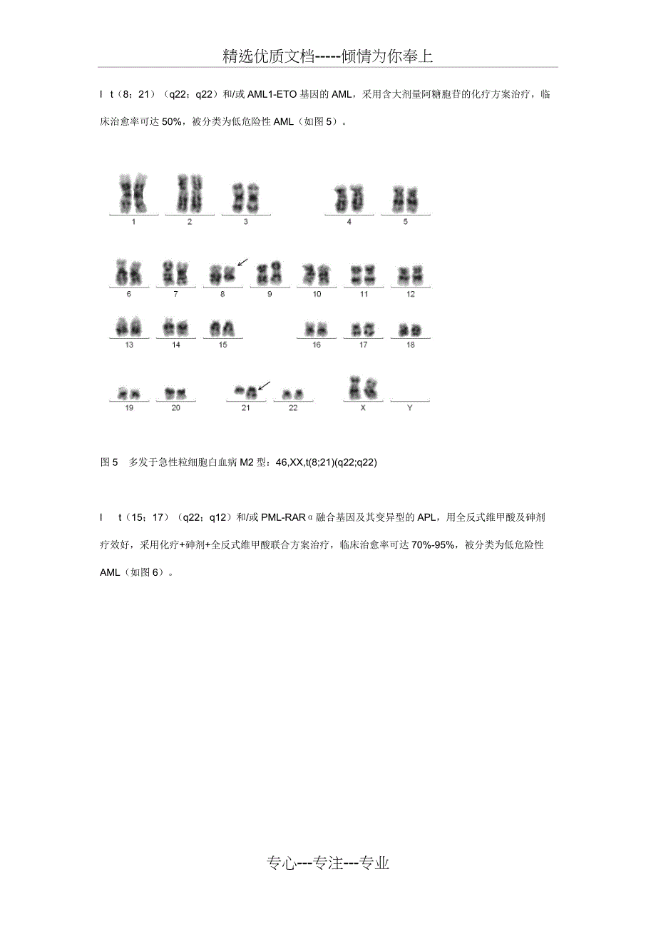 染色体核型分析_第4页