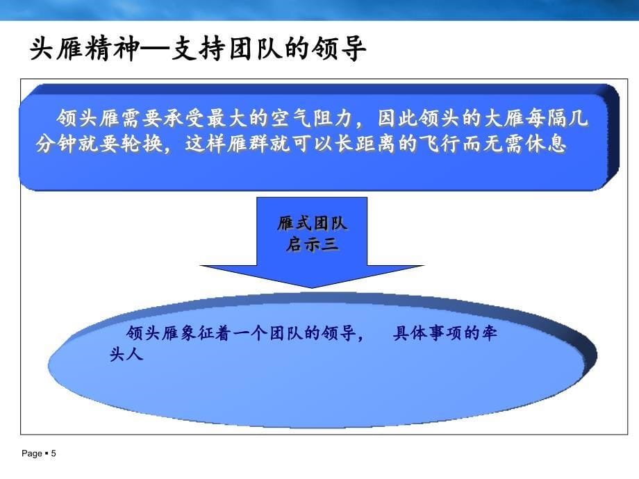 学习与分享一雁式团队_第5页