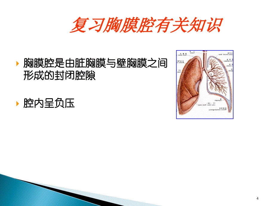 胸腔闭式引流的护理ppt课件_第4页