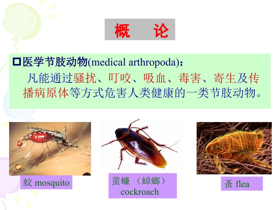 微生物与寄生虫：医学节肢动物_第4页