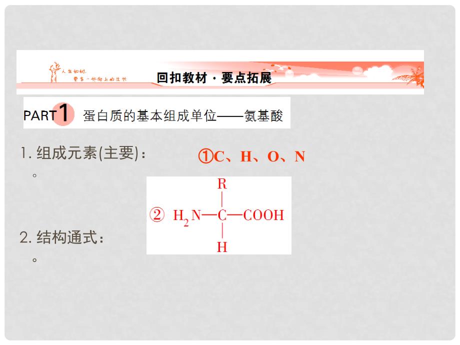 高考生物一轮复习 3 细胞中的蛋白质、核酸课件 新人教版_第2页