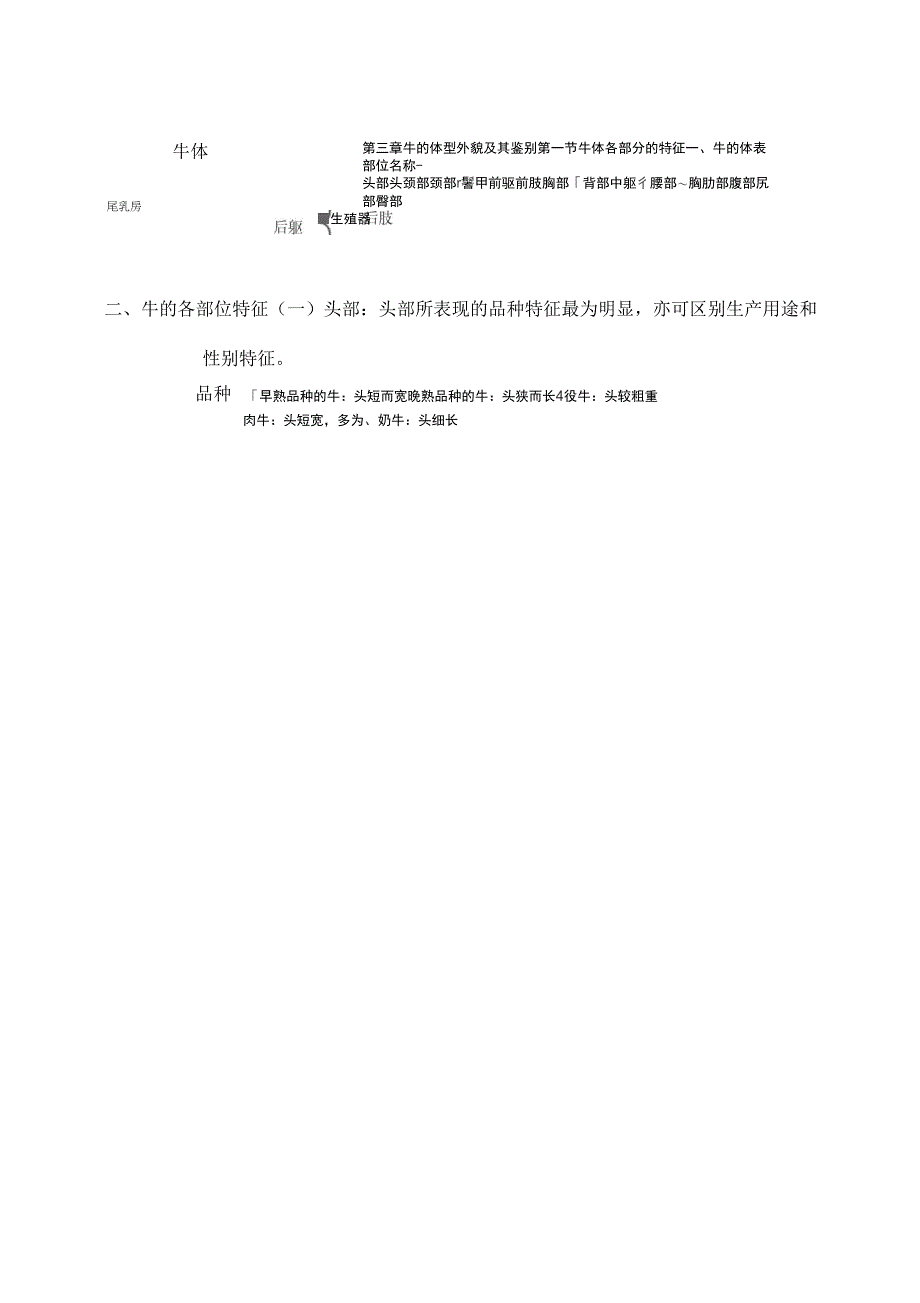 牛的体型外貌(体尺)及其鉴别_第1页