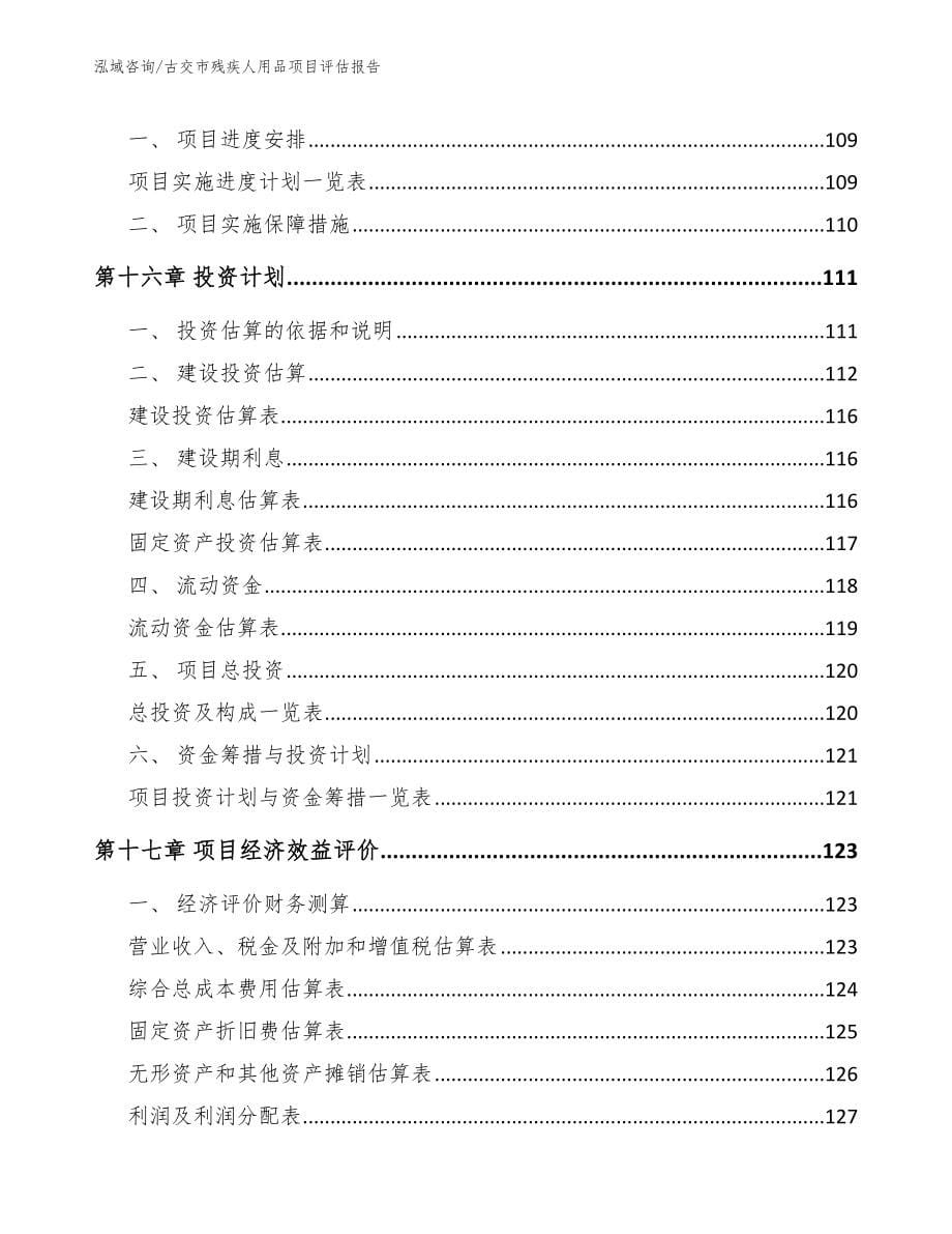 古交市残疾人用品项目评估报告模板参考_第5页