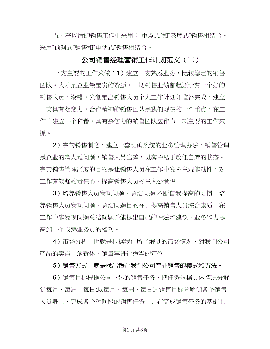 公司销售经理营销工作计划范文（2篇）.doc_第3页