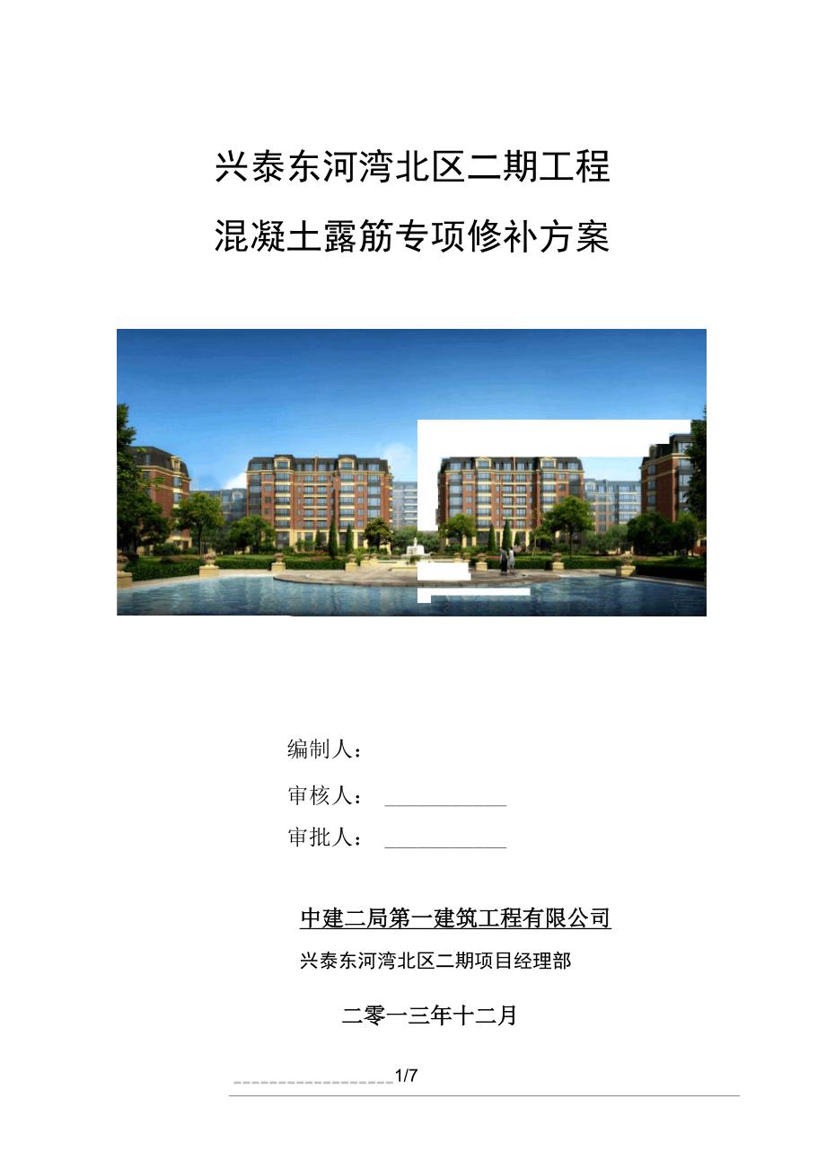 混凝土结构露筋专项修补方案_第1页