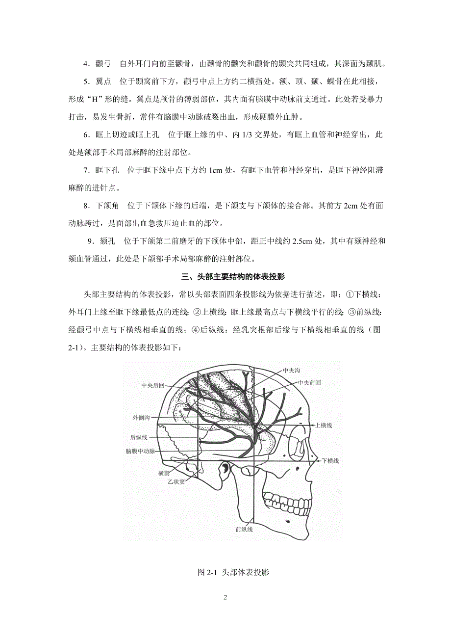 第二讲头部解剖文字稿Microsoft_Word_文档_第2页