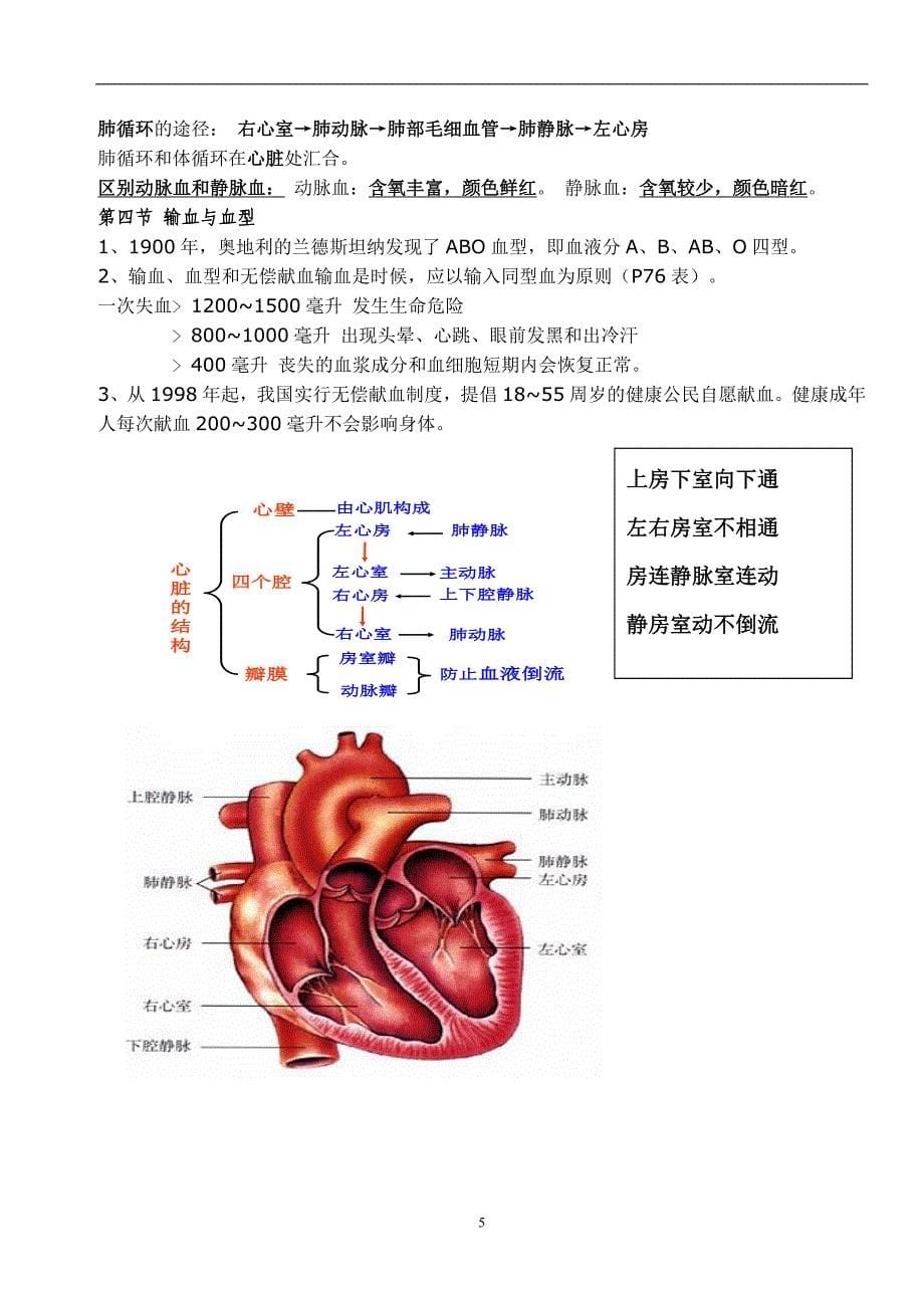 2015最新人教版七年级生物下册复习提纲_第5页