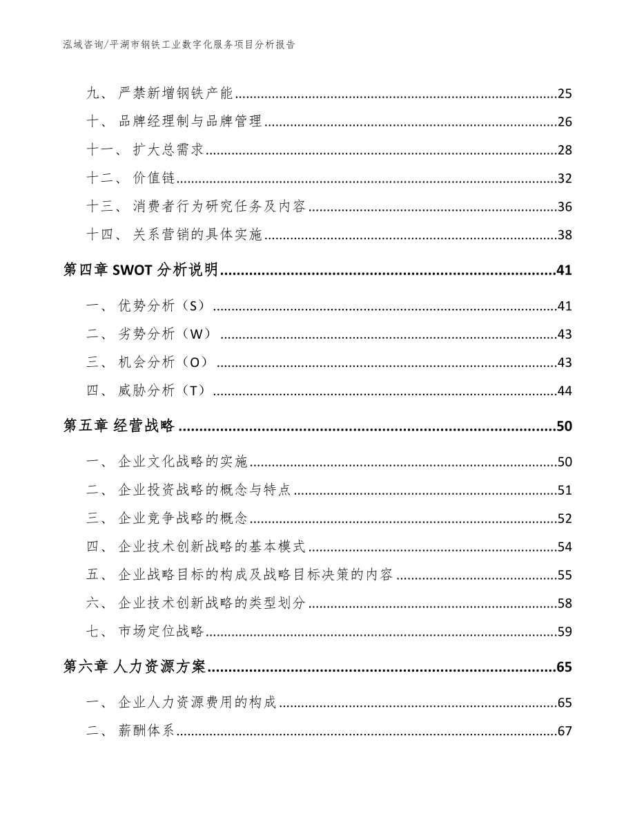 平湖市钢铁工业数字化服务项目分析报告【模板】_第2页