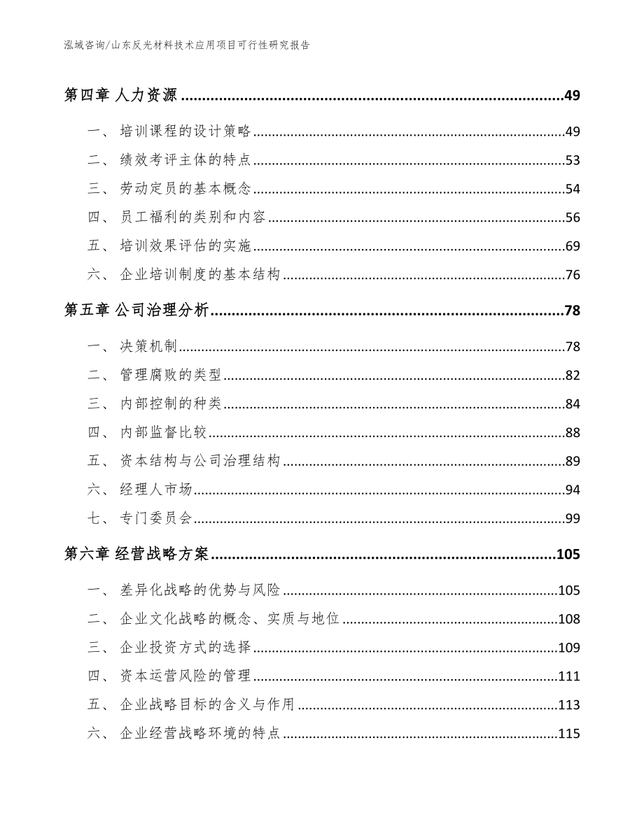 山东反光材料技术应用项目可行性研究报告_第2页