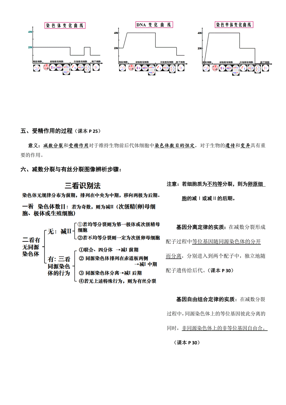 高中生物人教版必修二第二章知识点总结_第3页