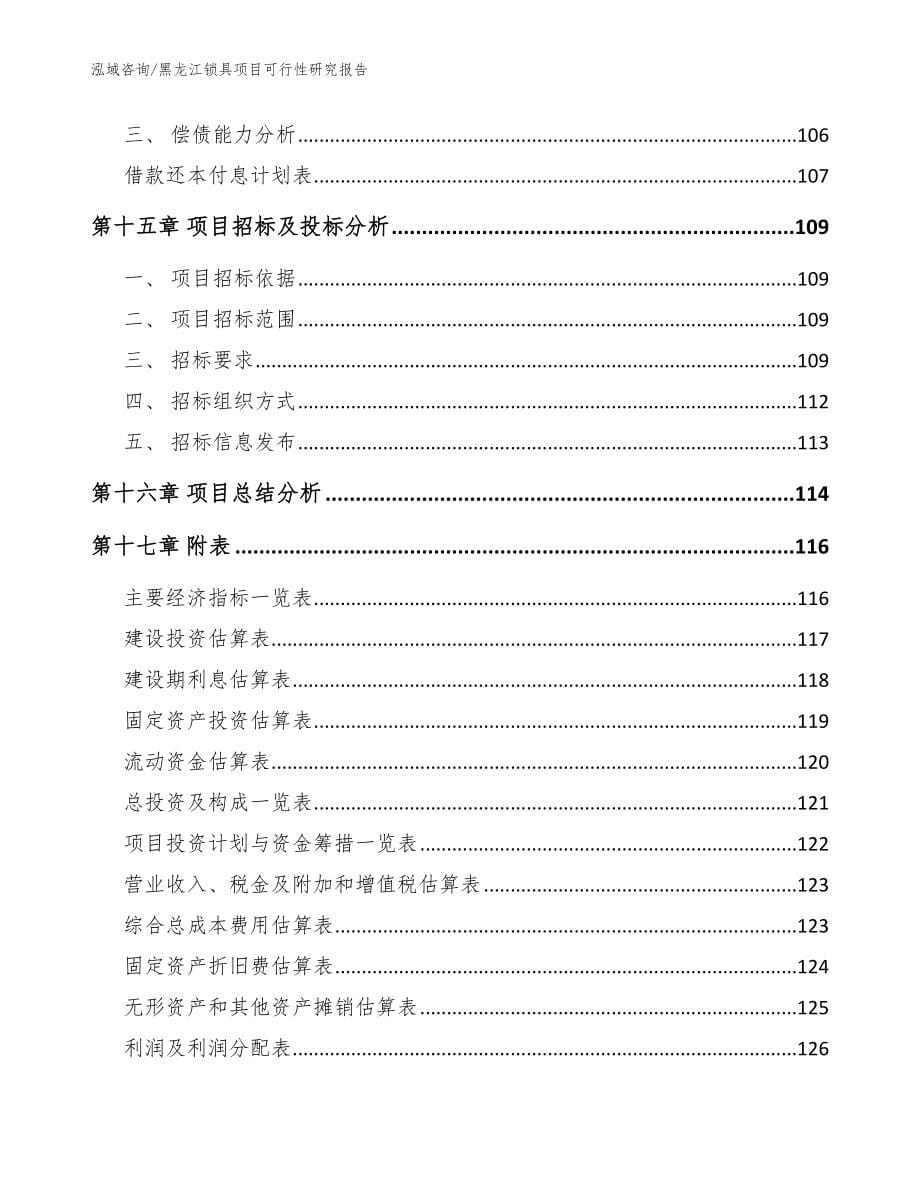 黑龙江锁具项目可行性研究报告模板参考_第5页