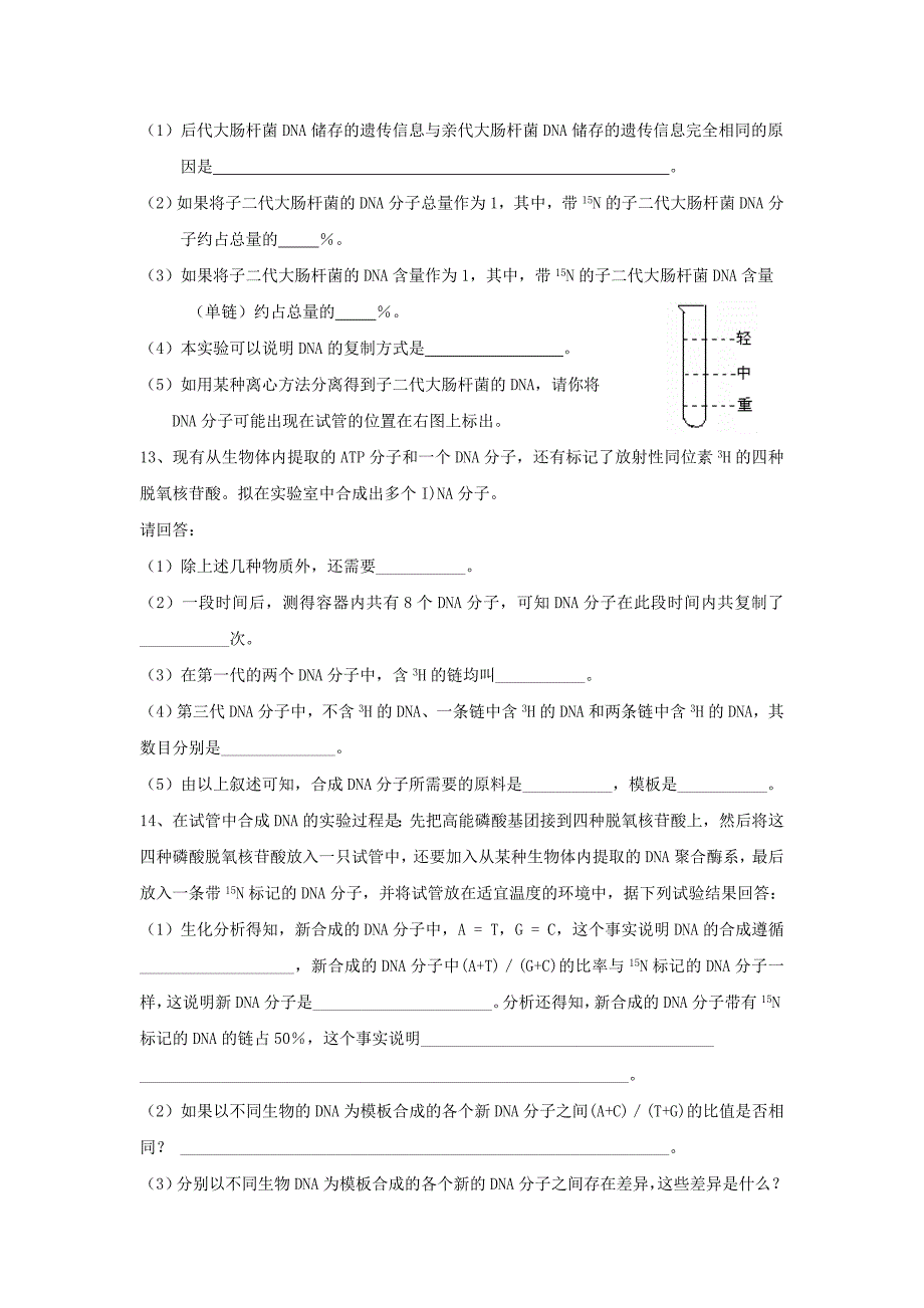 云南省峨山彝族自治县高中生物 第三章 基因的本质 3.3《DNA的复制》习题 新人教版必修2.doc_第3页