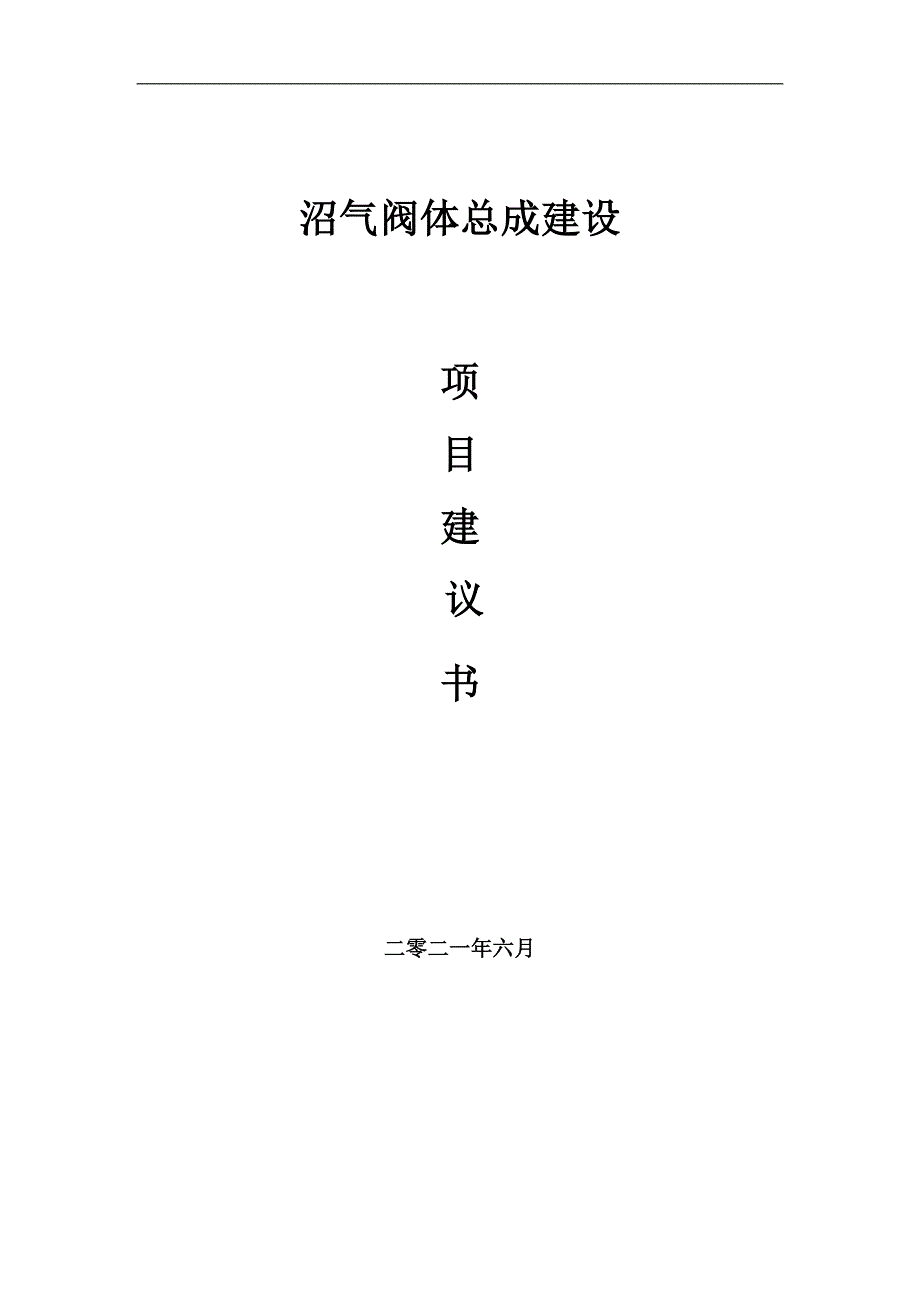 沼气阀体总成项目建议书写作参考范本_第1页