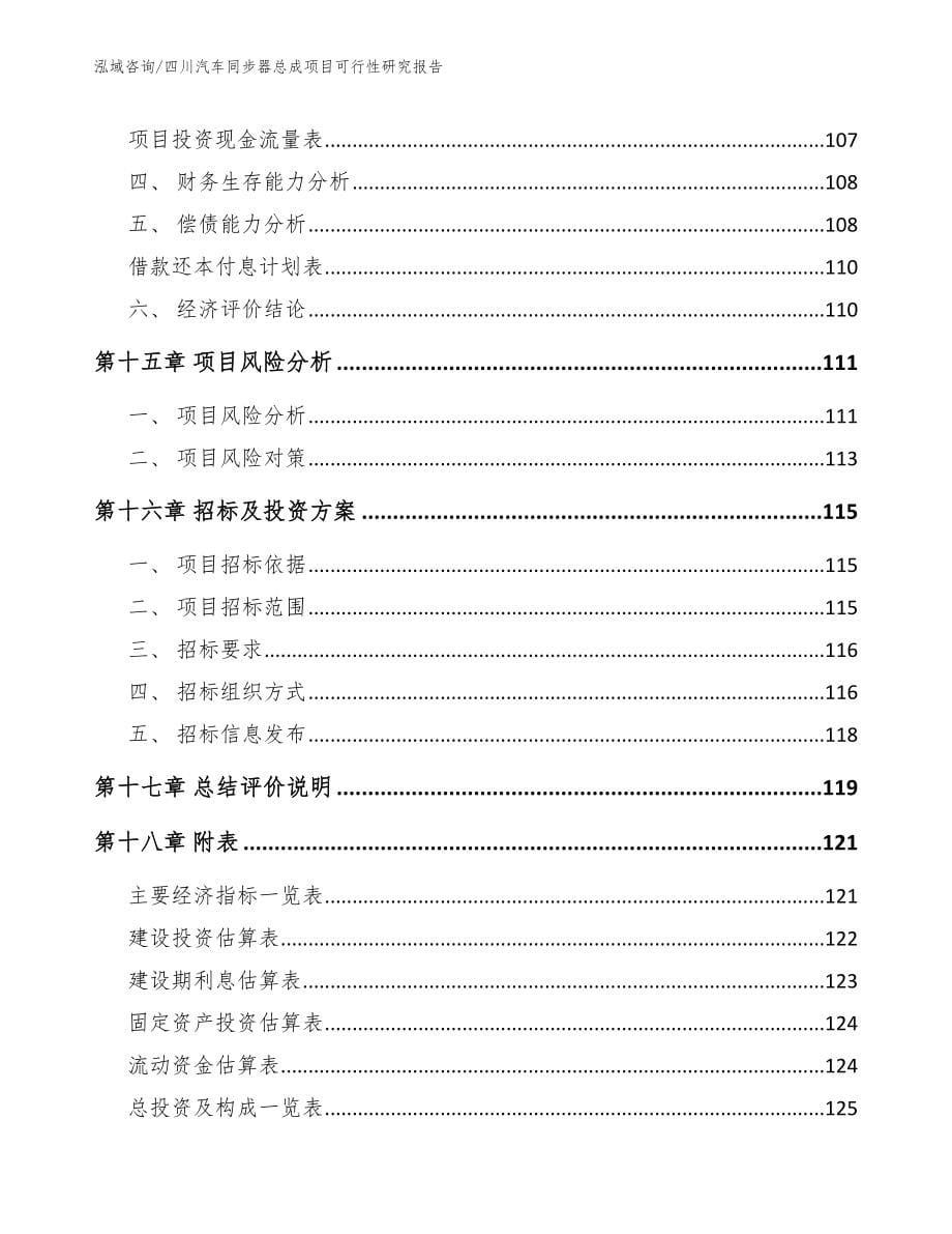 四川汽车同步器总成项目可行性研究报告_第5页