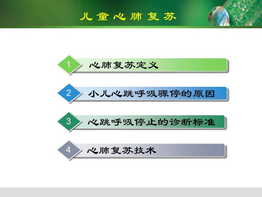 儿童心肺复苏精编ppt_第2页