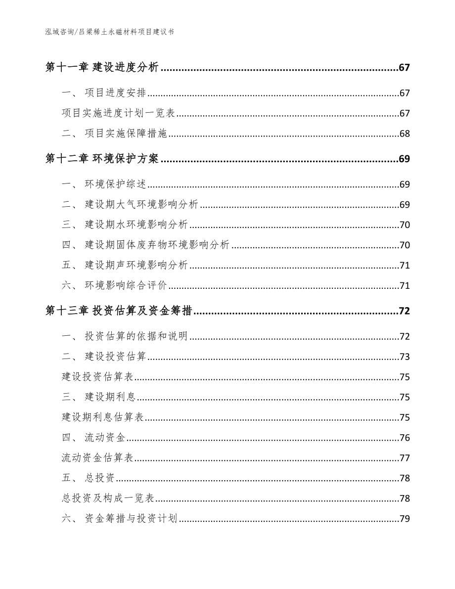 吕梁稀土永磁材料项目建议书（范文模板）_第5页