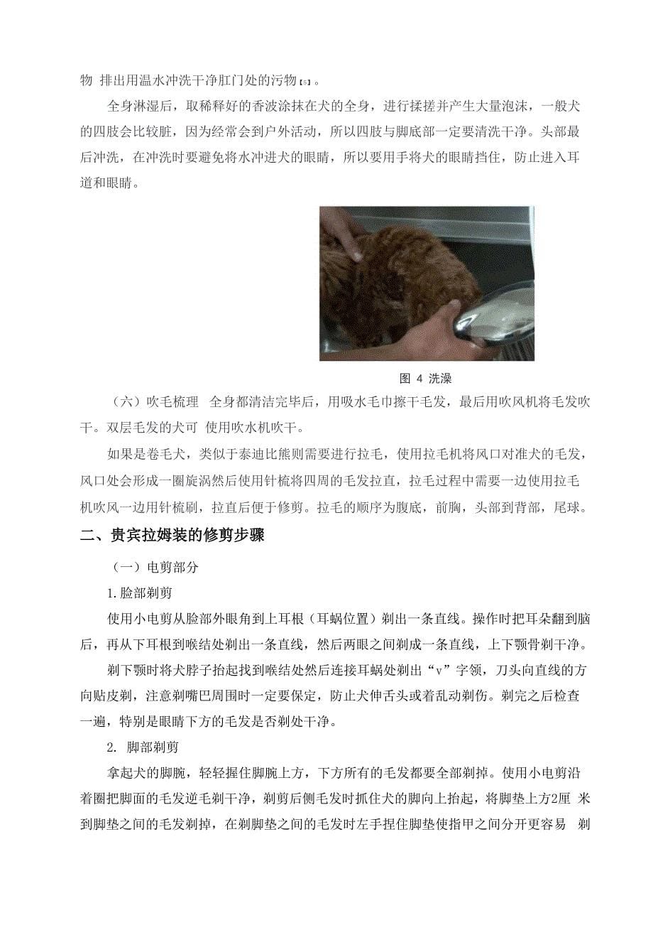 贵宾犬拉姆装的造型修剪_第5页