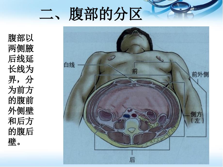 医学PPT课件腹部表面解剖_第4页