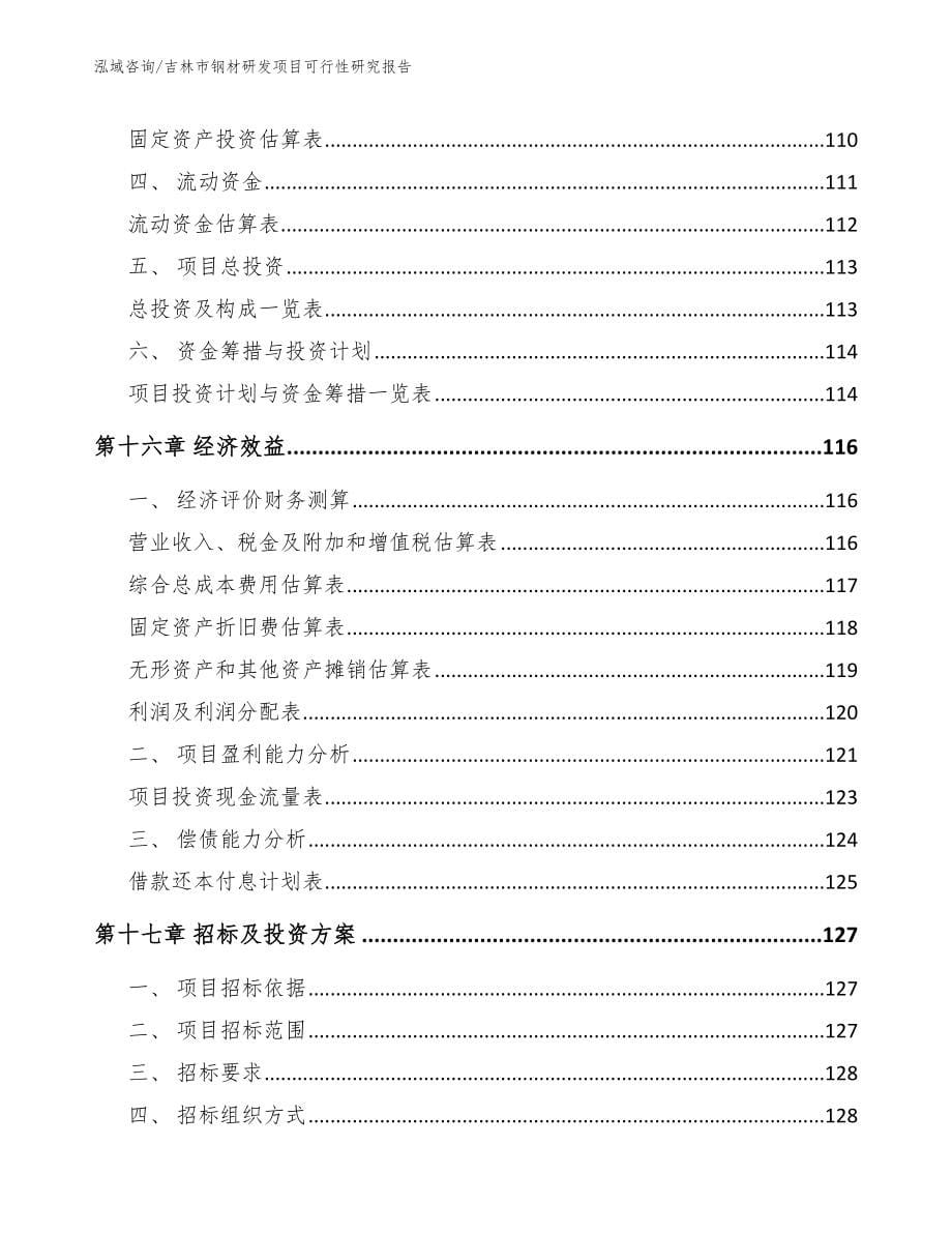 吉林市钢材研发项目可行性研究报告模板范本_第5页