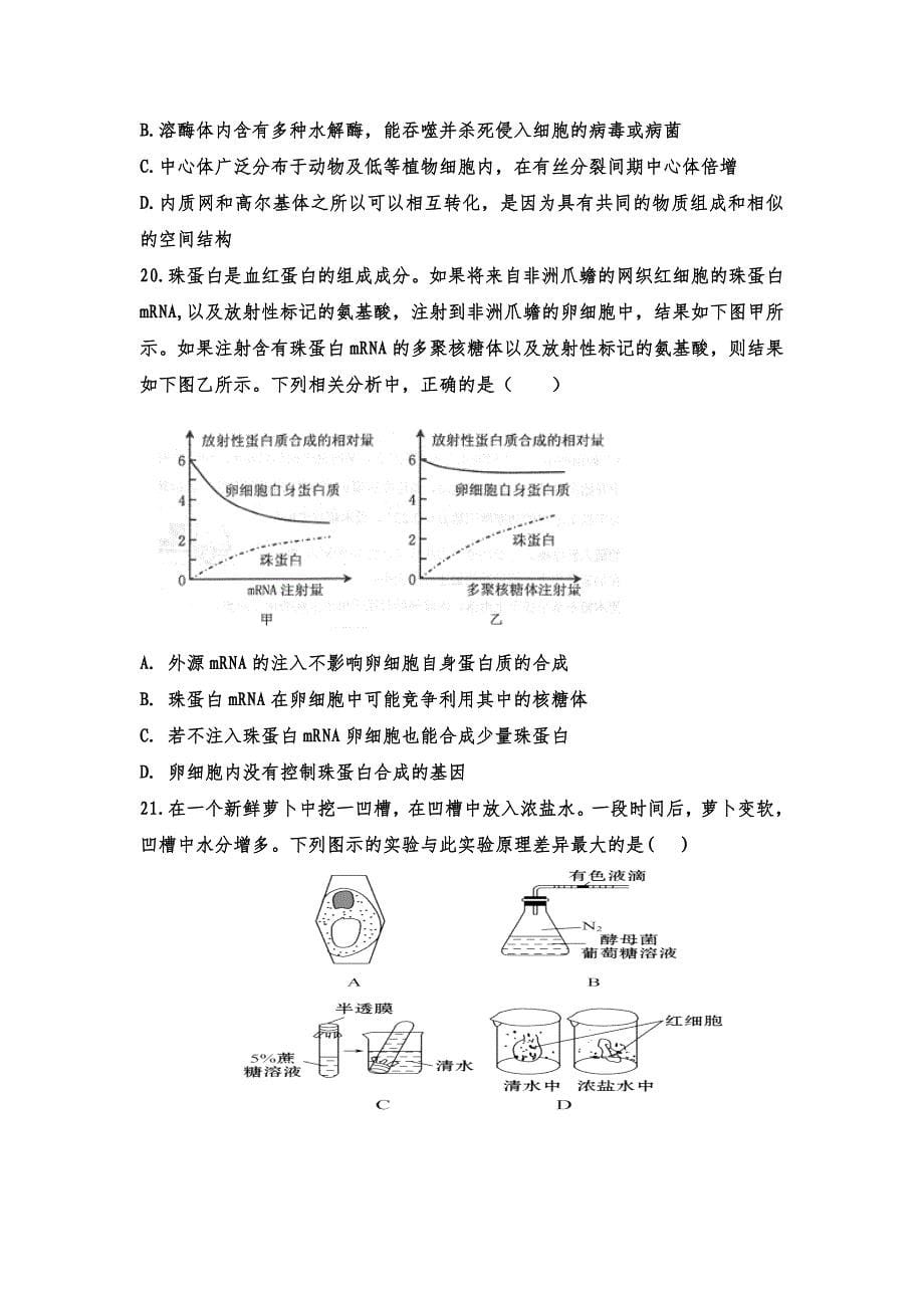 2022年高三上学期第一次段考生物试题 含答案_第5页