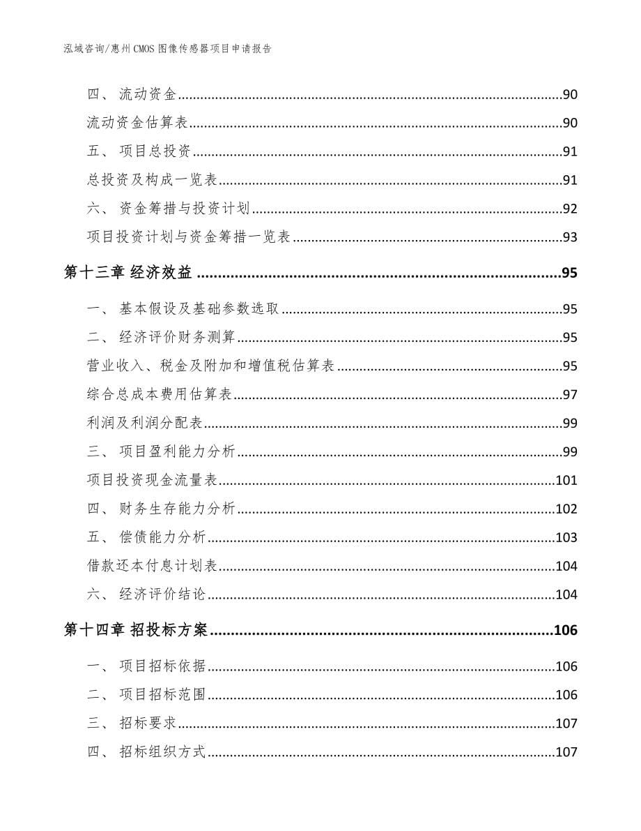 惠州CMOS图像传感器项目申请报告_模板范本_第5页