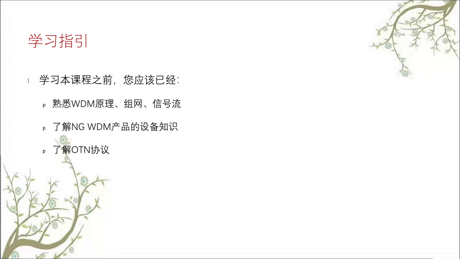 NGWDM电层调度方案课件_第3页