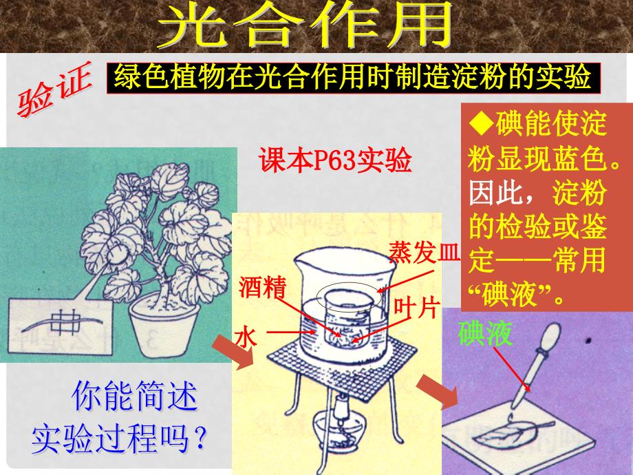 七年级生物 光合作用与呼吸作用对照课件_第4页