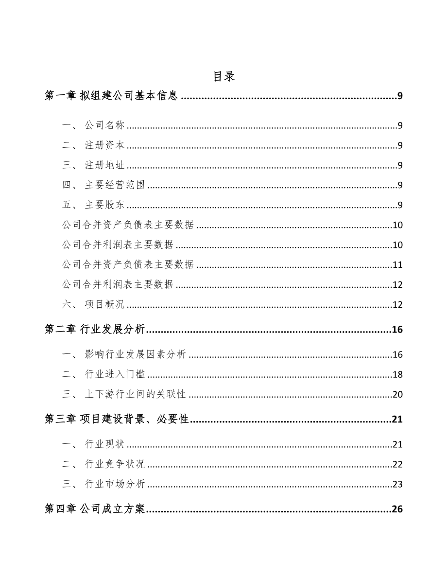 黑河关于成立出入口控制管理产品公司可行性研究报告(DOC 81页)_第2页