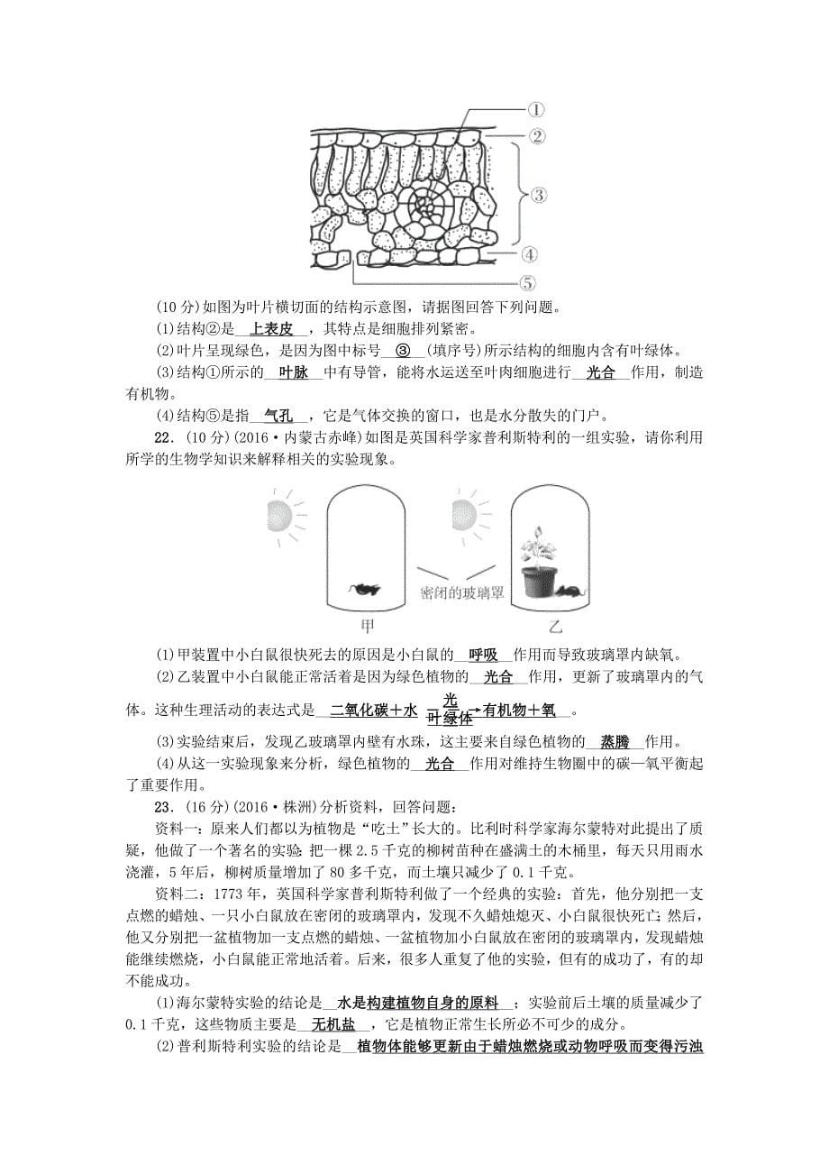 2017-2018学年七年级生物上册 第三单元 生物圈中的绿色植物检测题二 （新版）新人教版_第5页