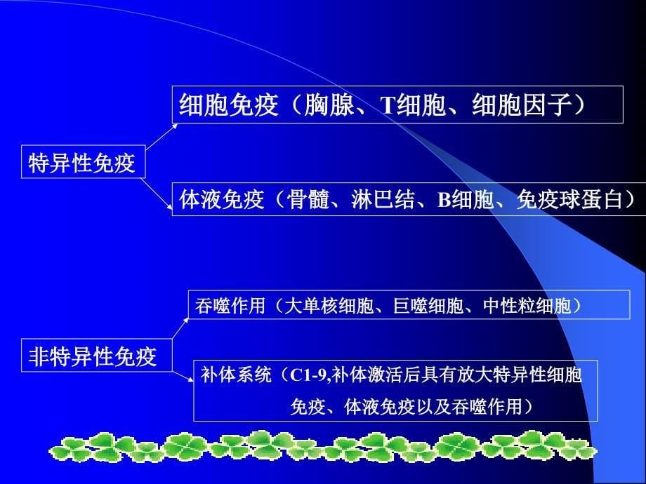 原发性免疫缺陷性疾病 (PID) (primary immunodeficiency diseases)_第5页