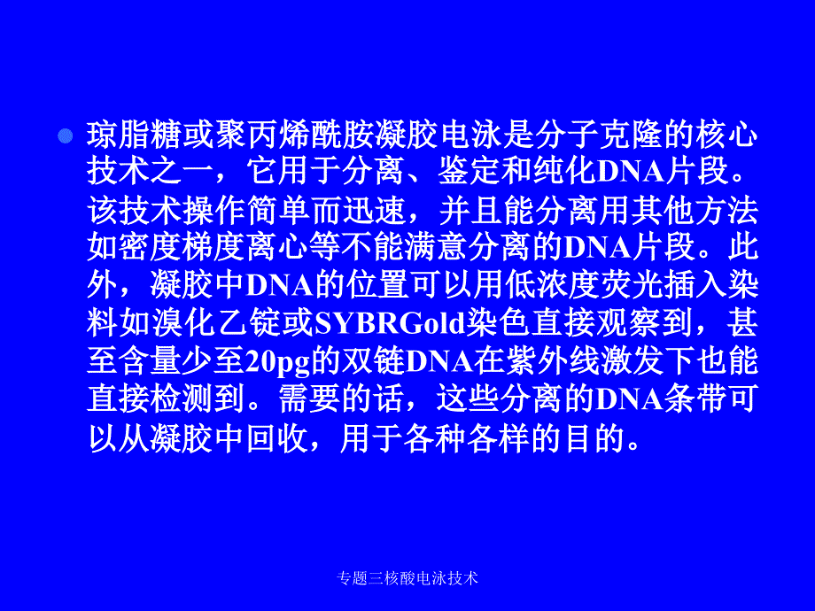 专题三核酸电泳技术课件_第2页