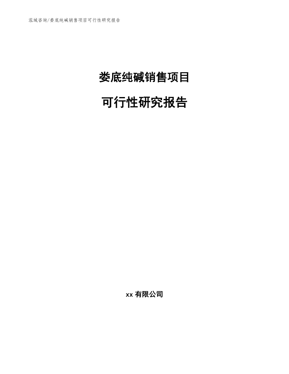 娄底纯碱销售项目可行性研究报告_第1页