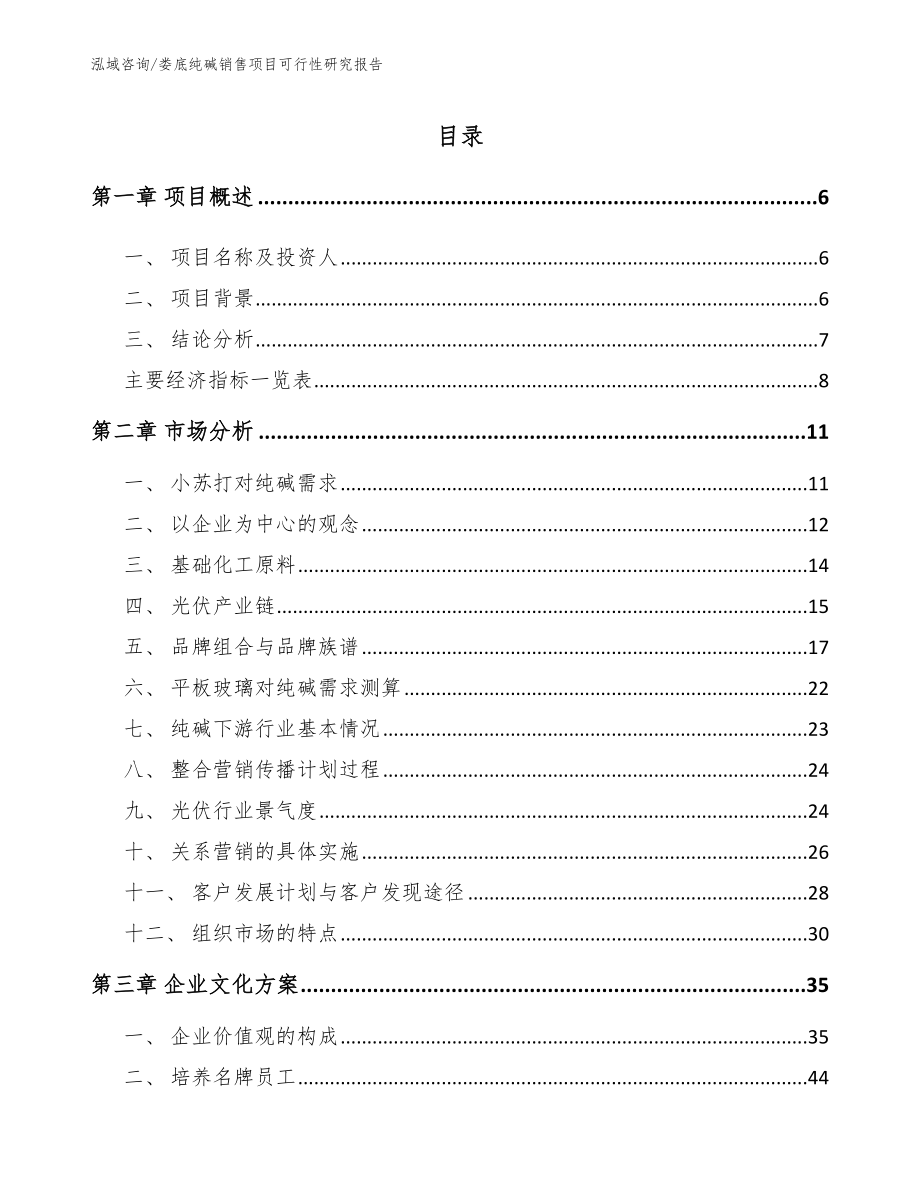 娄底纯碱销售项目可行性研究报告_第2页