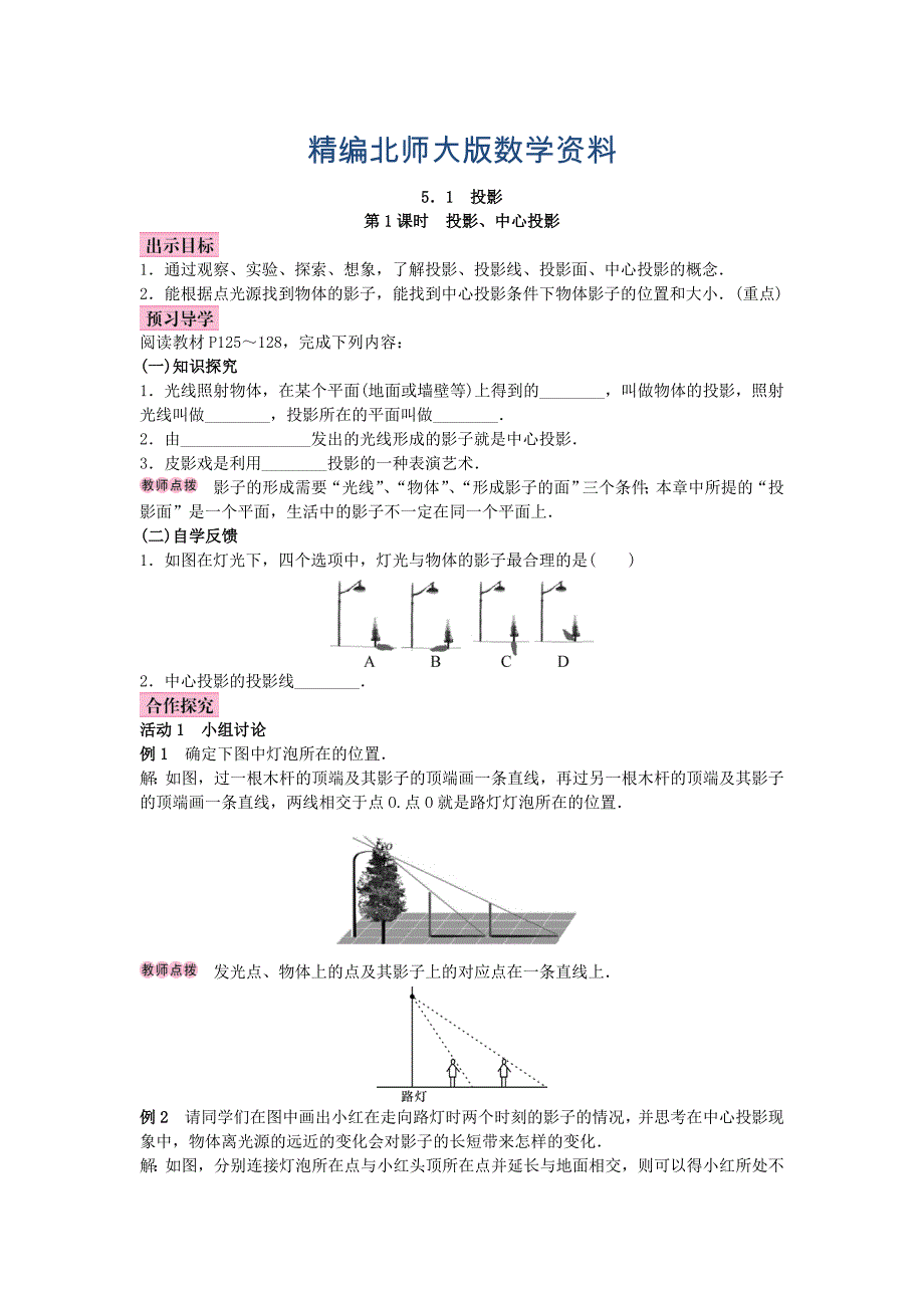 精编北师大版九年级数学上册教案：5.1 投影_第1页