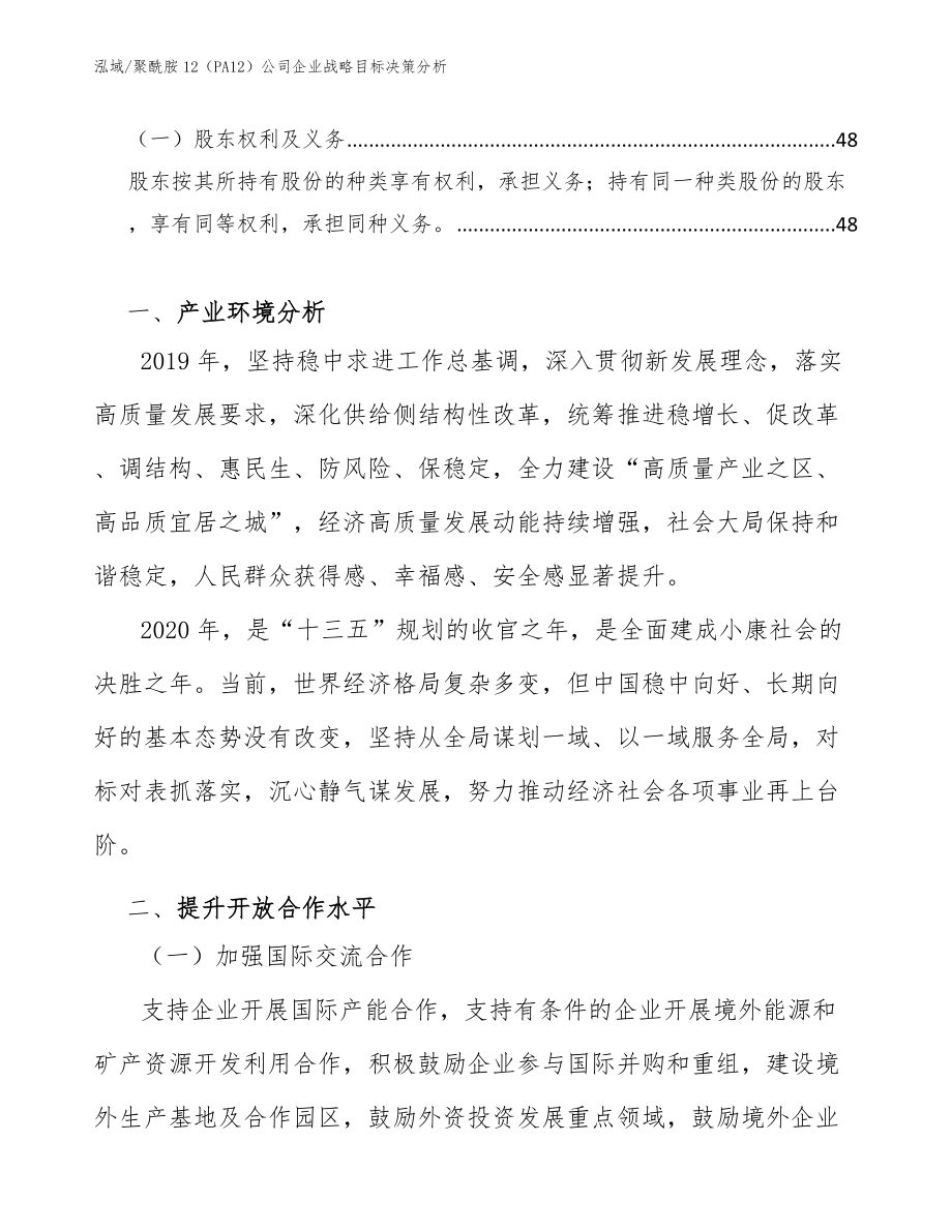 聚酰胺12（PA12）公司企业战略目标决策分析_第2页