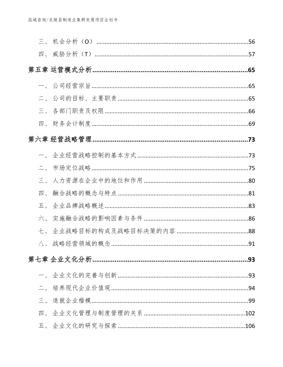 龙陵县制造业集群发展项目企划书（范文参考）_第3页