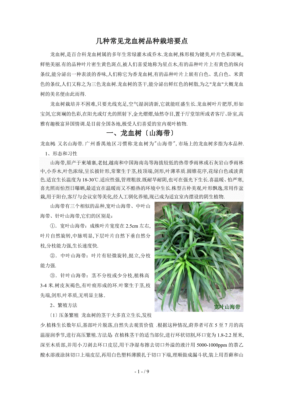 几种常见龙血树品种栽培要点_第1页