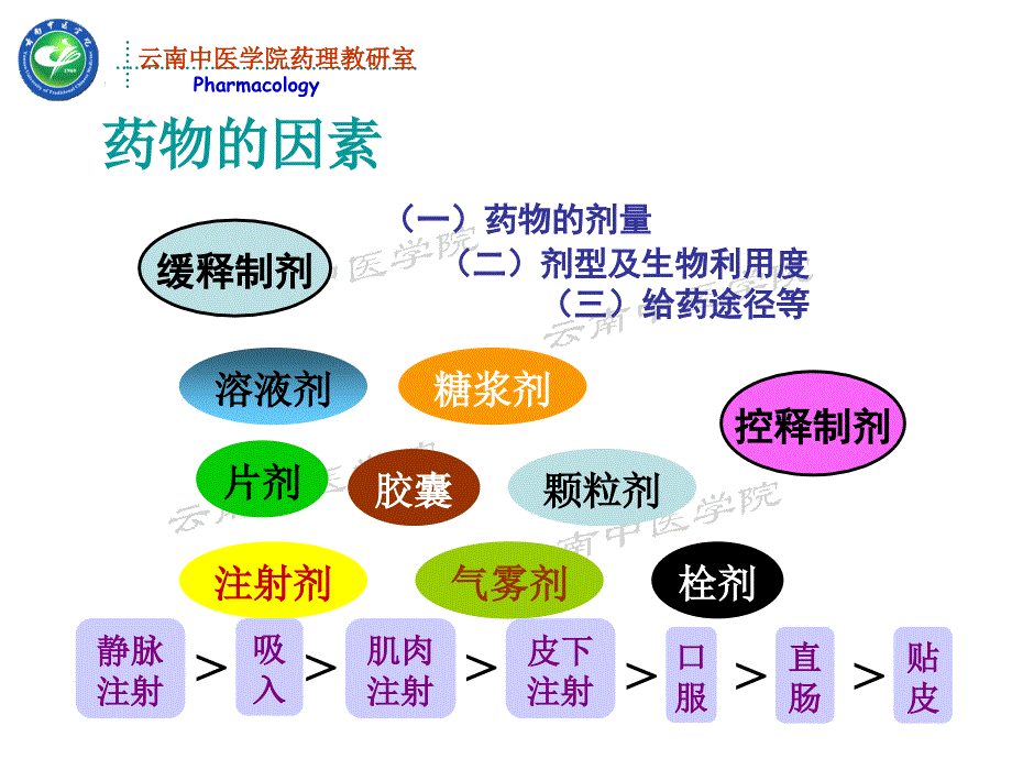 影响药物效应的因素药理学课件_第4页