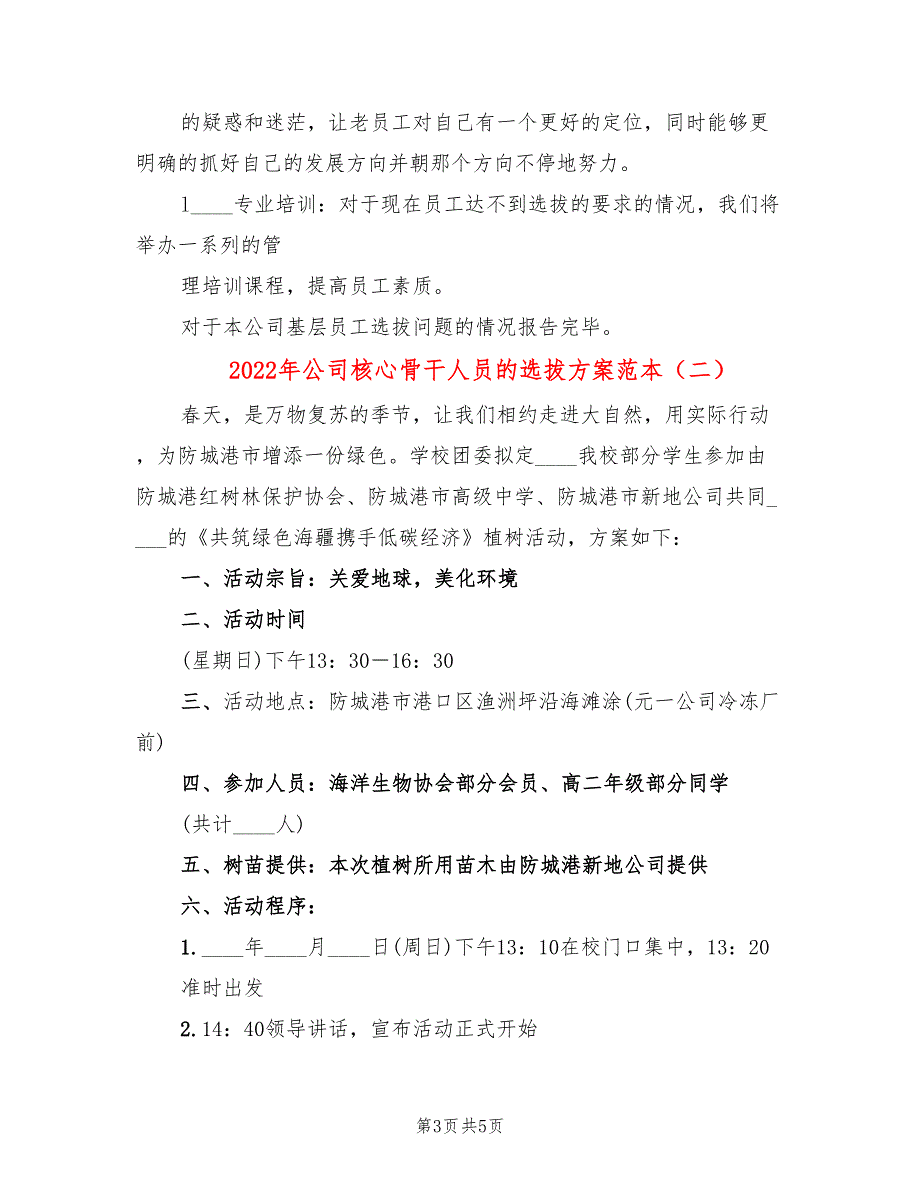 2022年公司核心骨干人员的选拔方案范本_第3页