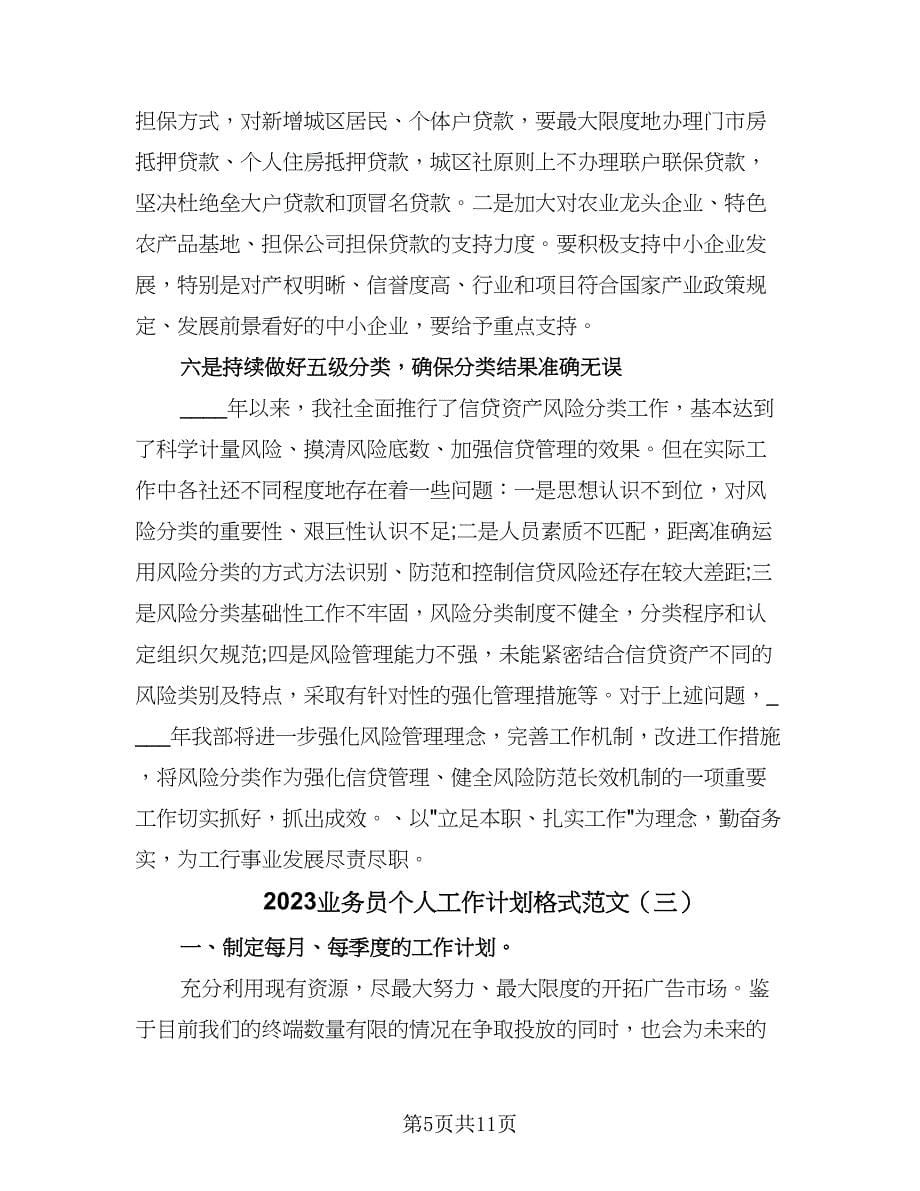 2023业务员个人工作计划格式范文（四篇）.doc_第5页