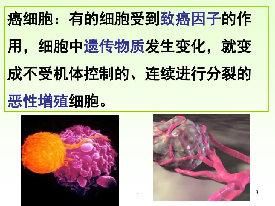 (精品文档)高一生物细胞的癌变 最新ppt演示课件_第3页