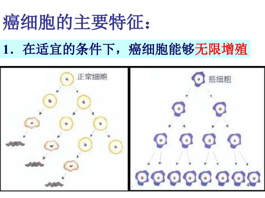 (精品文档)高一生物细胞的癌变 最新ppt演示课件_第4页