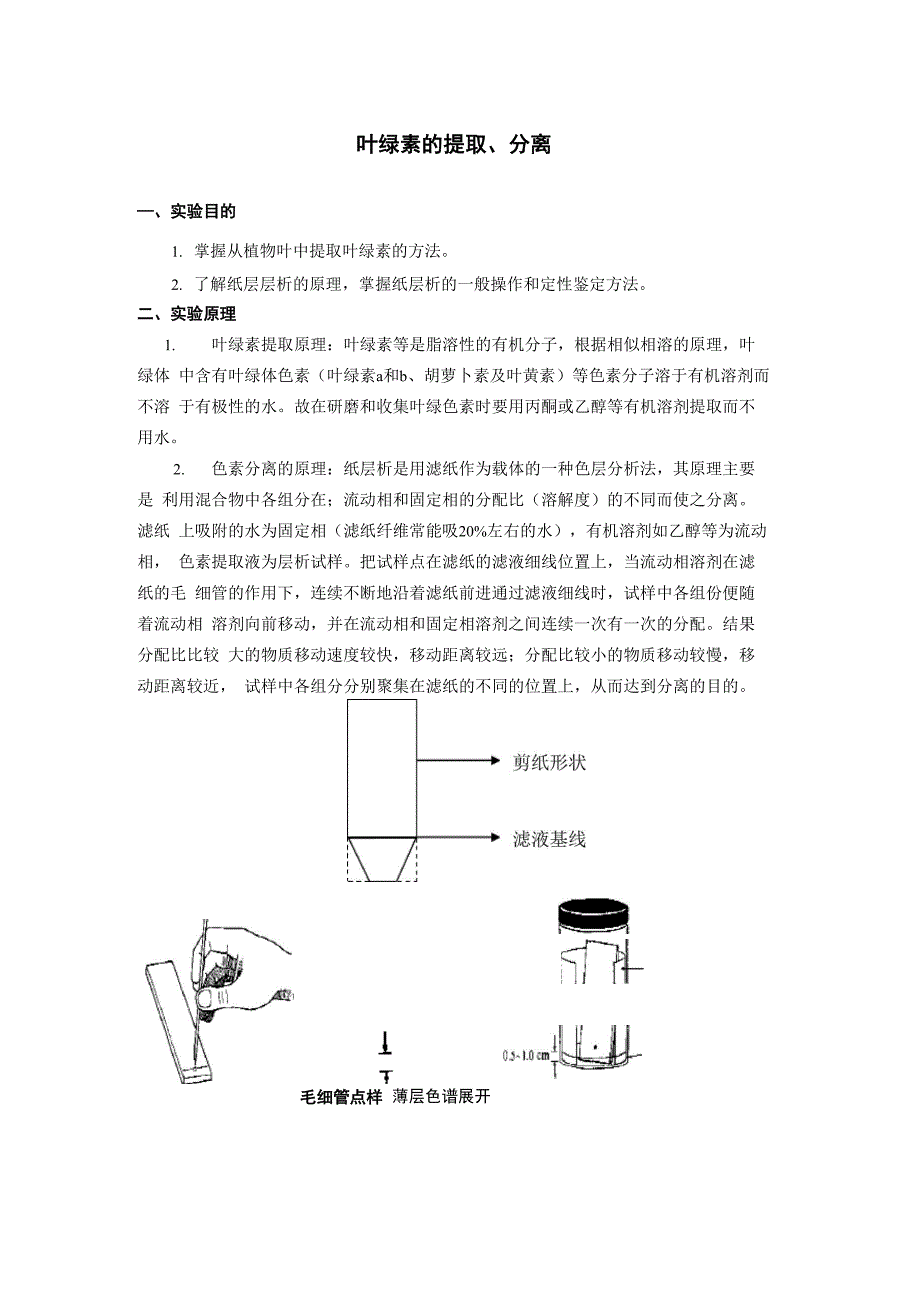 实验六 叶绿素的提取、分离_第1页