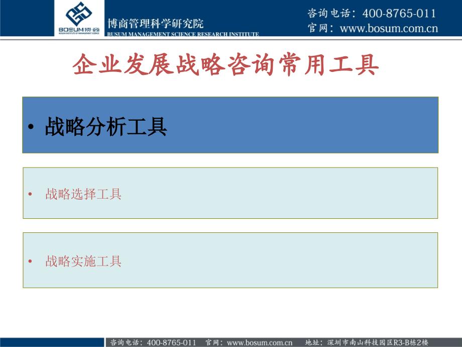 企业发展战略咨询常用工具_第2页