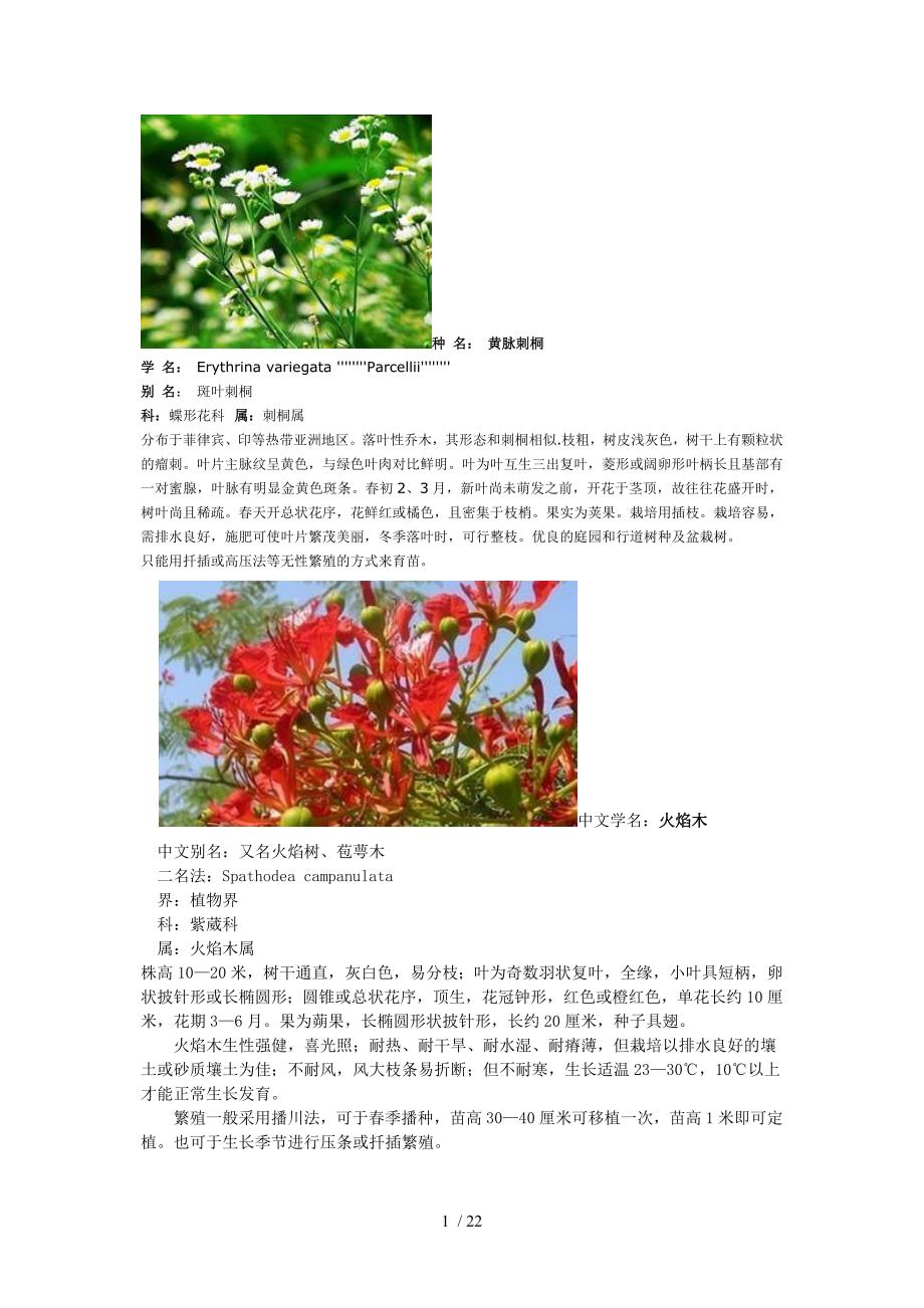树种名Word参考_第1页