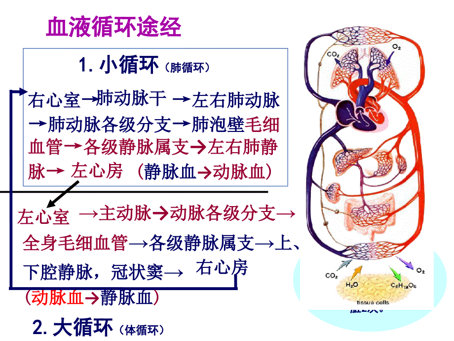 循环系统常见症状_第4页